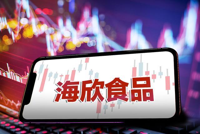 一家食品加工类上市公司,主要从事速冻鱼肉制品和肉制品的加工与销售